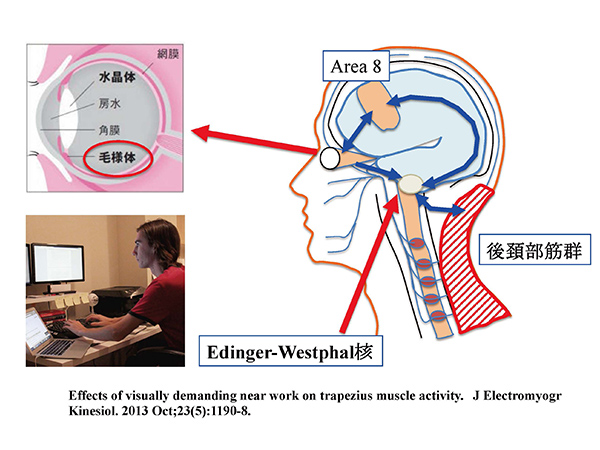 【図】スマートフォン使用時の頚部の傾きと後頚部への負荷